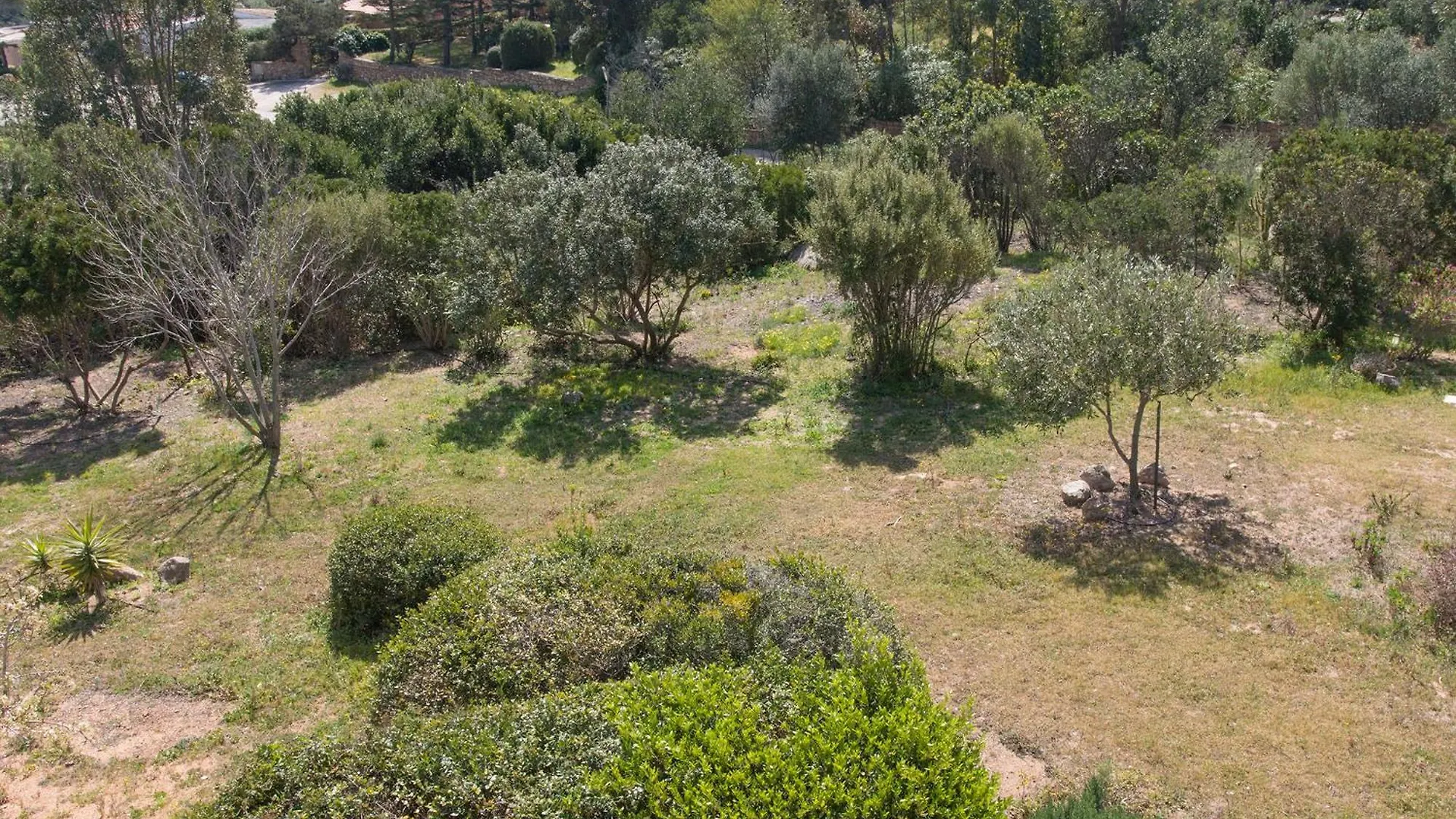 Villa Immersa Nel Verde Con Meravigliosa Vista Mare بالاو