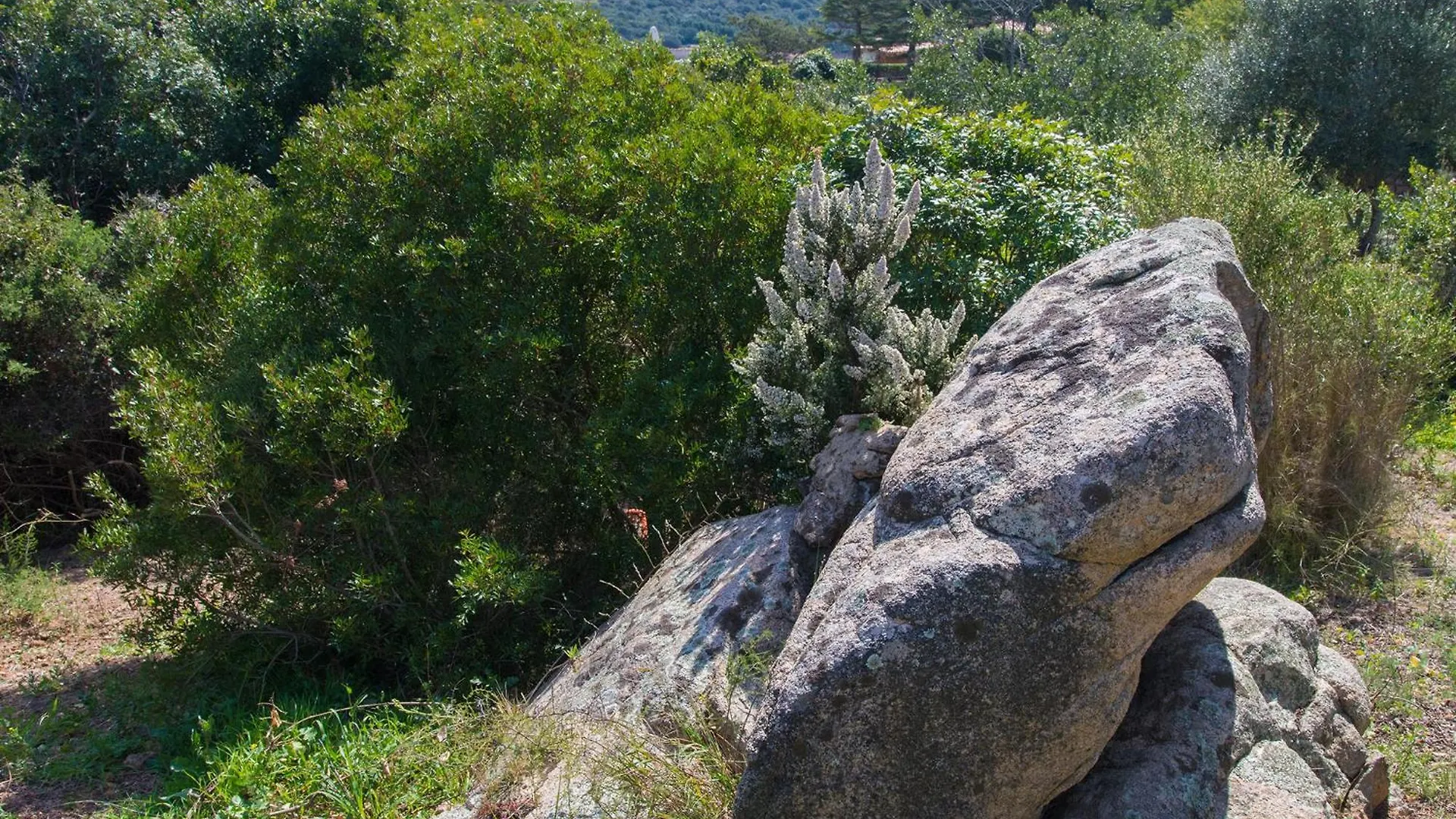 Villa Immersa Nel Verde Con Meravigliosa Vista Mare بالاو